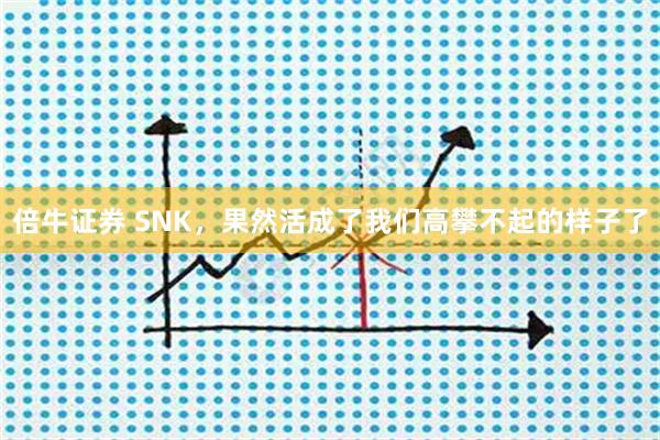 倍牛证券 SNK，果然活成了我们高攀不起的样子了