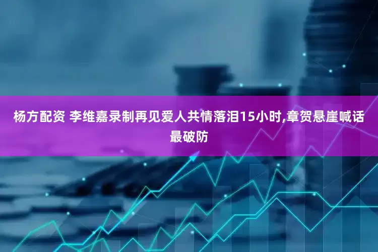 杨方配资 李维嘉录制再见爱人共情落泪15小时,章贺悬崖喊话最破防