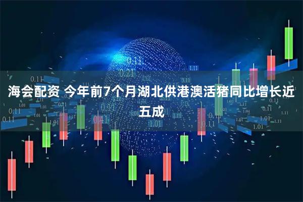 海会配资 今年前7个月湖北供港澳活猪同比增长近五成
