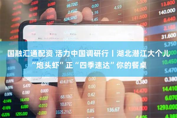 国融汇通配资 活力中国调研行丨湖北潜江大个儿“炮头虾”正“四季速达”你的餐桌
