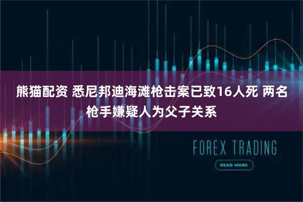 熊猫配资 悉尼邦迪海滩枪击案已致16人死 两名枪手嫌疑人为父子关系